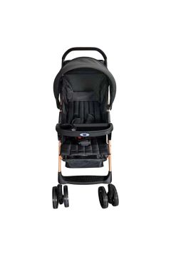 CARRINHO DE BEBE DELTA - C6-0